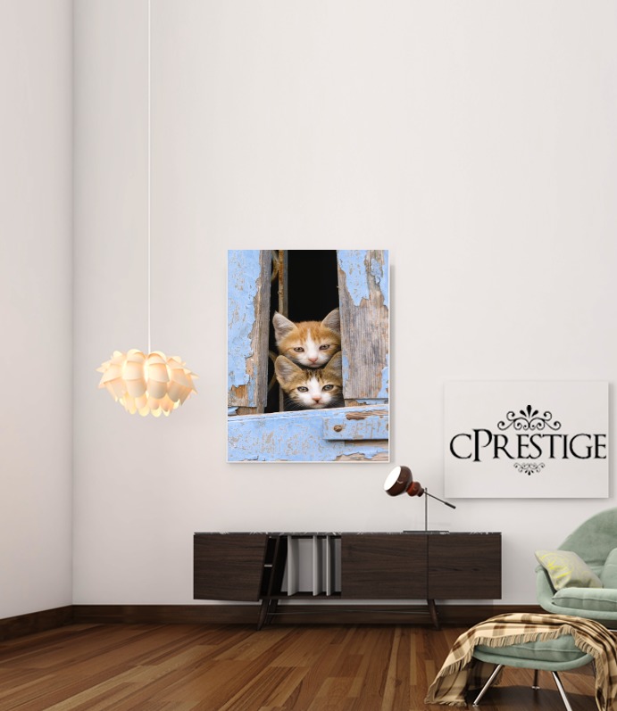  Cute curious kittens in an old window para Poster adhesivas 30 * 40 cm