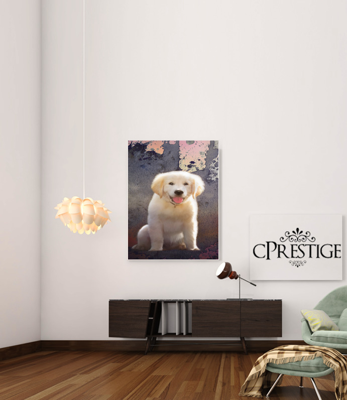  Golden Retriever Puppy para Poster adhesivas 30 * 40 cm