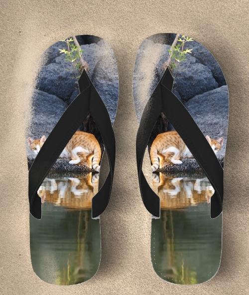  Cat Reflection in Pond Water para Chanclas