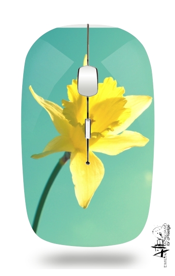  Daffodil para Ratón óptico inalámbrico con receptor USB