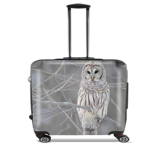  owl bird on a branch para Ruedas cabina bolsa de equipaje maleta trolley 17" laptop